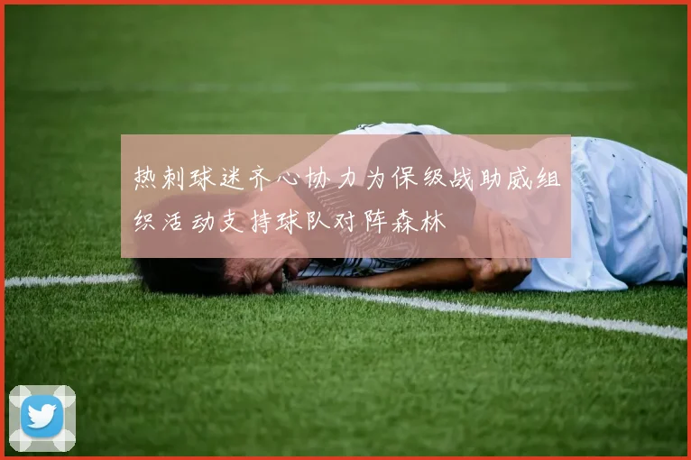 热刺球迷齐心协力为保级战助威组织活动支持球队对阵森林