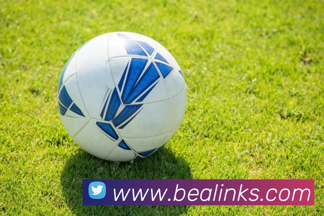 开云在线登录入口官网平台生态图