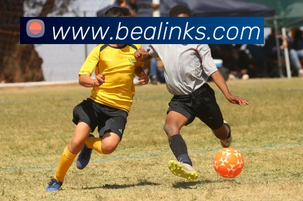 开云在线登录入口官网APP 封面图